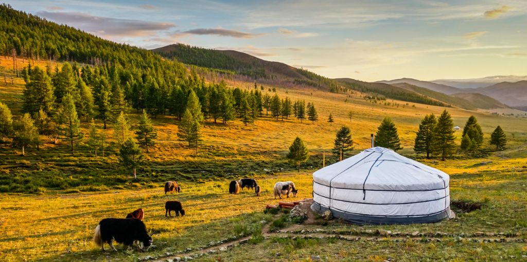 Aeroflot Airline Mongolia Office