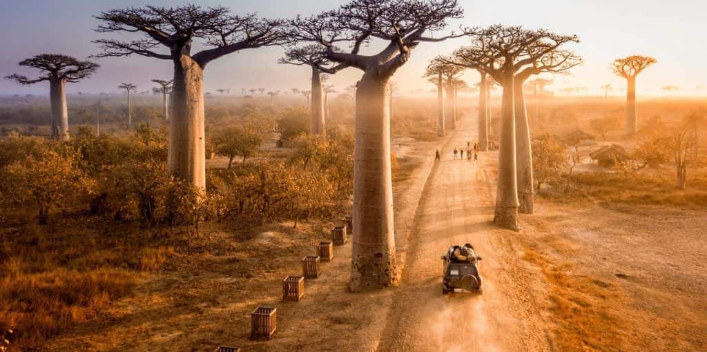 Ethiopian Airlines Madagascar Ticket Office