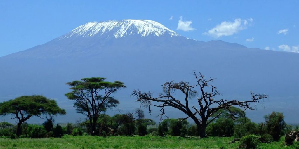 Swiss Air International Kilimanjaro Office in Tanzania