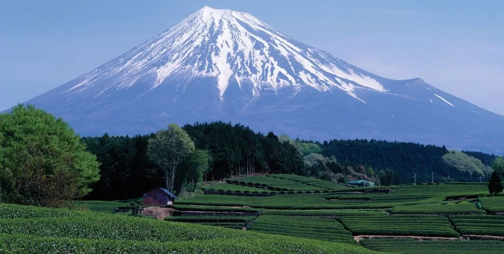 China Airlines Shizuoka Office in Japan