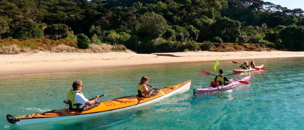 Salt Air Paihia Office in New Zealand