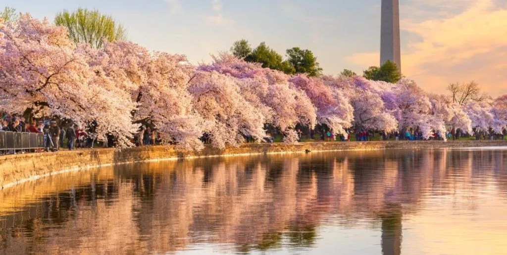 Air China Washington DC office in USA