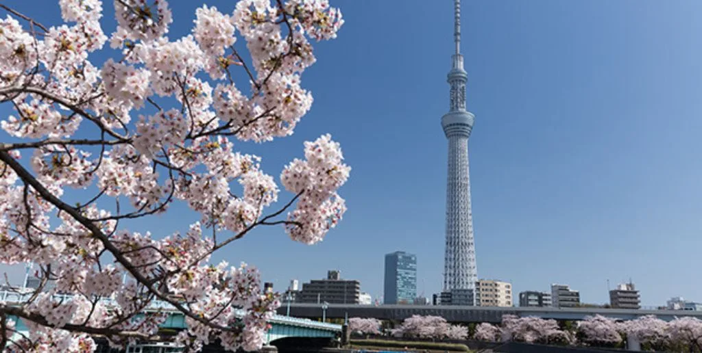 Air Macau Airlines Narita Office in Japan