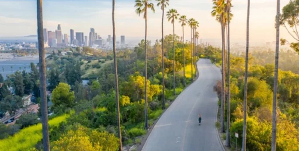 Air Namibia Los Angeles Office in California