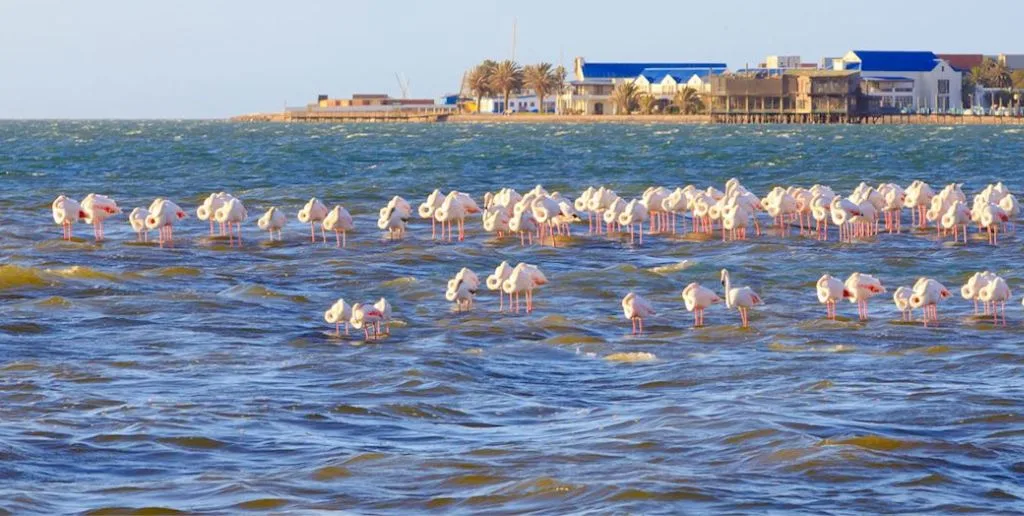 Air Namibia Walvis Bay Office in Namibia