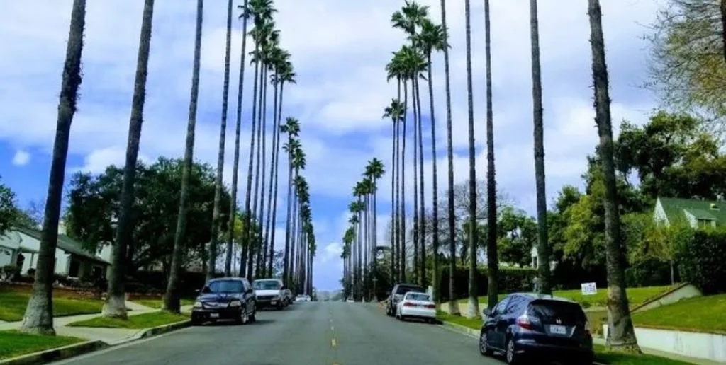 JSX Burbank Office in California