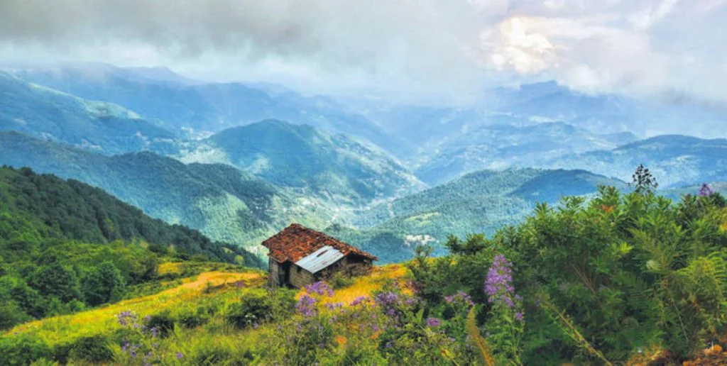 Salam Air Trabzon Office in Turkey